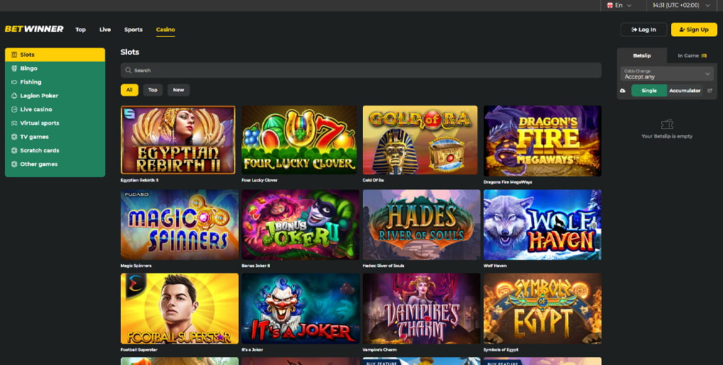 BetWinner Casino AR - Your Ultimate Gaming Destination