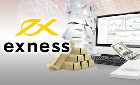 Comprehensive Guide to Exness FX Broker for Forex Trading Investors