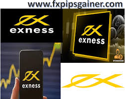 Complete Guide to Exness Verification