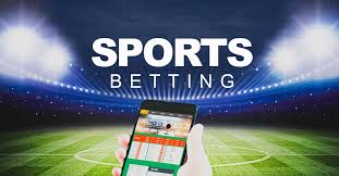 Explore Casinos With Unlimited Daily Cashback